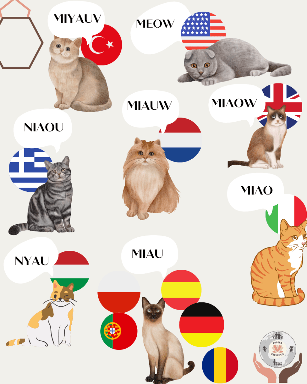 Symphony of Multilingual Sounds: Unveiling a Toddler’s Language Exploration